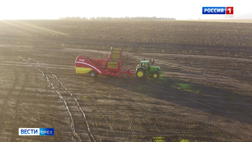 В Орловской области соберут рекордный урожай зерновых, зернобобовых и масличных культур