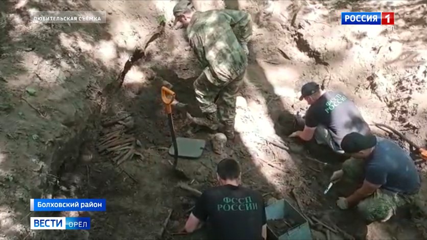 На Кривцовских высотах обнаружены останки 76 бойцов Красной Армии